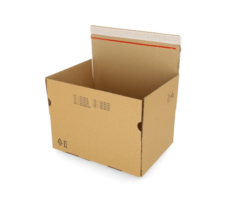 ASD/35: 310 x 230 x 110 mm <br> Shipping box with auto-lock bottom and adhesive closure strip 1
