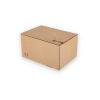 ASD/40: 310 x 230 x 160 mm <br> Shipping box with auto-lock bottom and adhesive closure strip 12