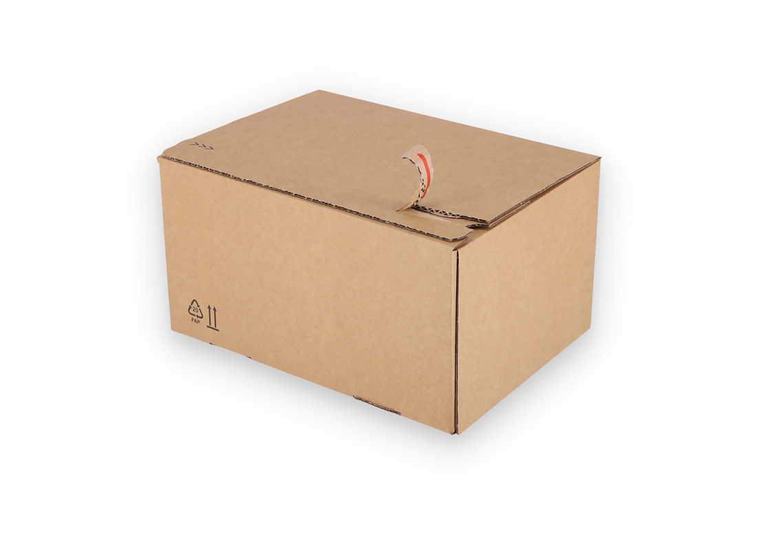 ASD/40: 310 x 230 x 160 mm <br> Shipping box with auto-lock bottom and adhesive closure strip 4