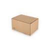 ASD/40: 310 x 230 x 160 mm <br> Shipping box with auto-lock bottom and adhesive closure strip 10