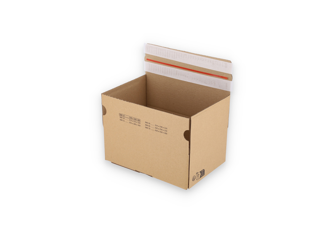 ASGD/15: 230 x 160 x 80 mm <br> Shipping box with auto-lock bottom and adhesive closure and return strips 1