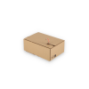 ASGD/15: 230 x 160 x 80 mm <br> Shipping box with auto-lock bottom and adhesive closure and return strips 10
