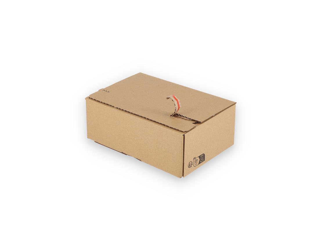 ASGD/15: 230 x 160 x 80 mm <br> Shipping box with auto-lock bottom and adhesive closure and return strips 3