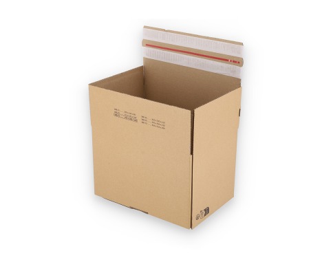 ASGD/21: 255 x 180 x 160 mm <br> Shipping box with auto-lock bottom, adhesive closure and return strips 1