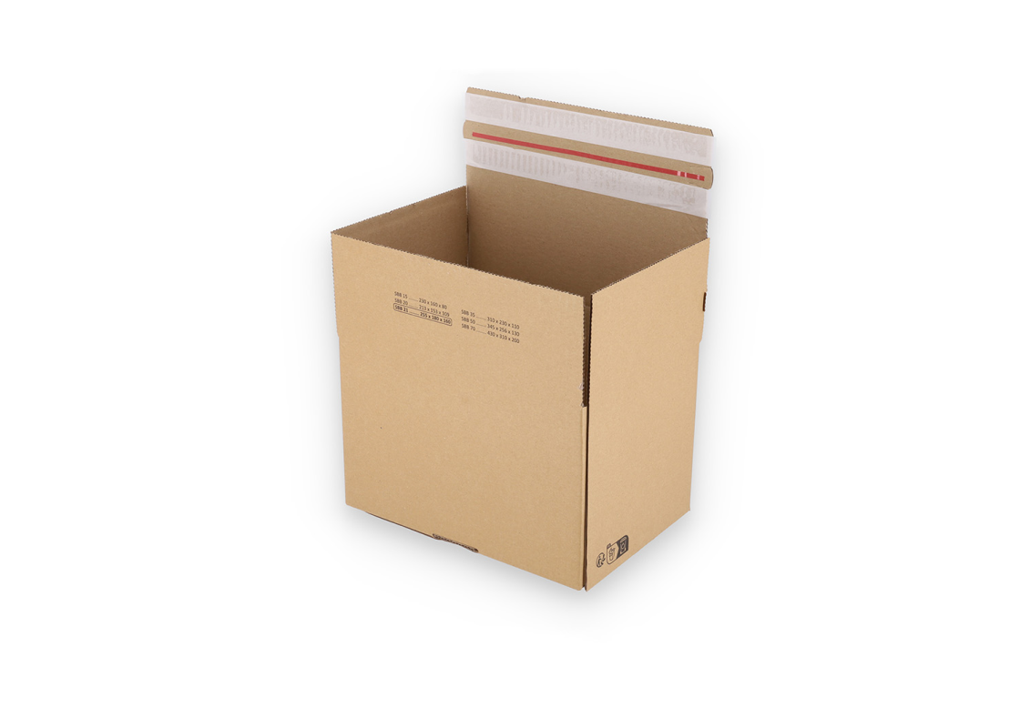 ASGD/21: 255 x 180 x 160 mm <br> Shipping box with auto-lock bottom, adhesive closure and return strips 1