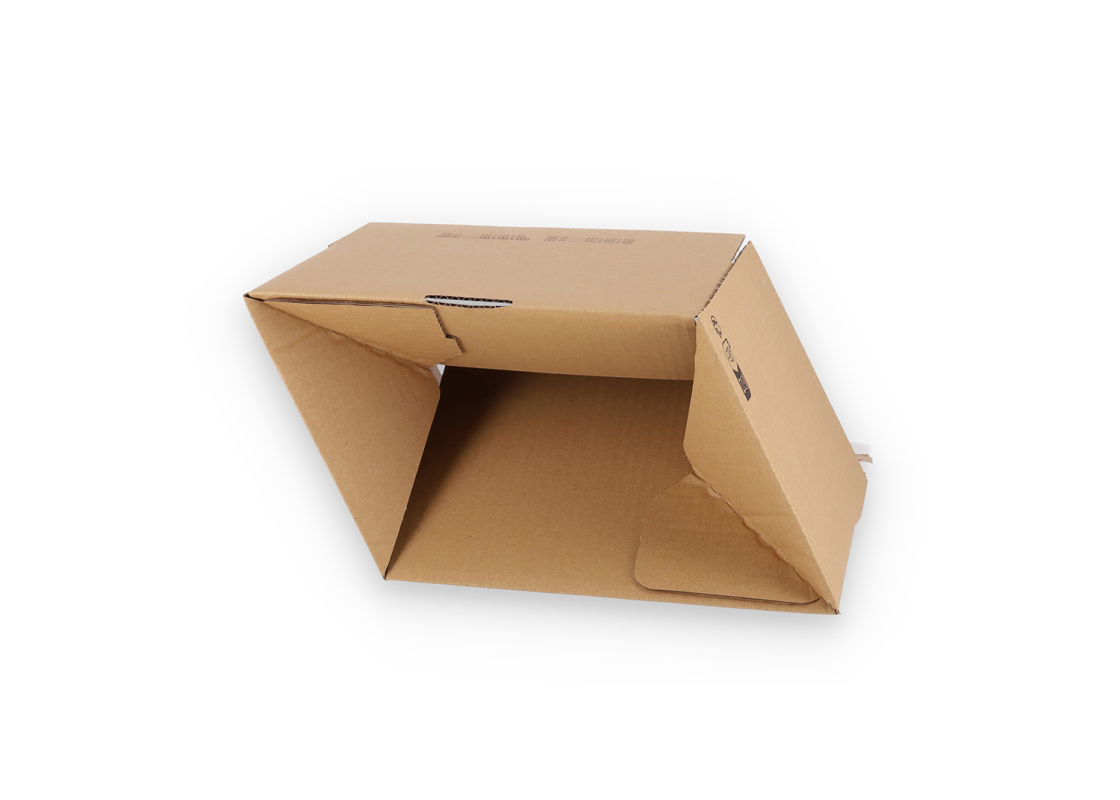 ASGD/21: 255 x 180 x 160 mm <br> Shipping box with auto-lock bottom, adhesive closure and return strips 2