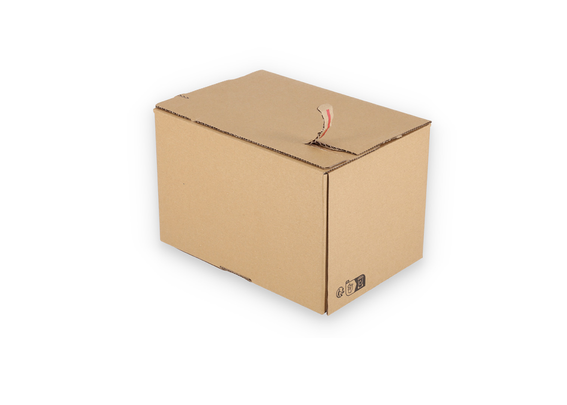 ASGD/21: 255 x 180 x 160 mm <br> Shipping box with auto-lock bottom, adhesive closure and return strips 4