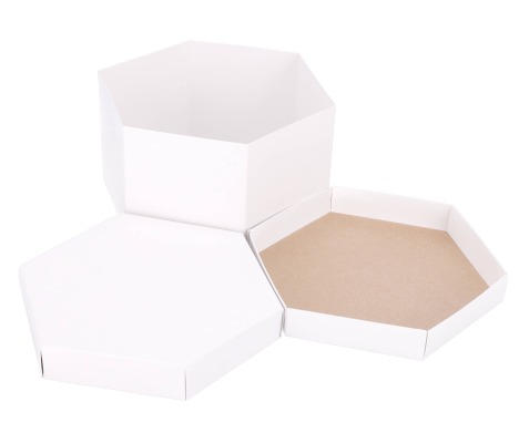 DT-S: 245 x 245 x 150 mm hexagonal cake box 1