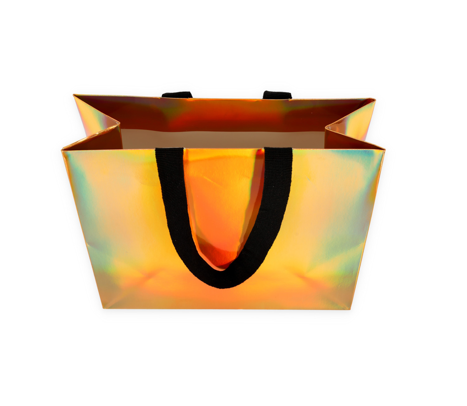 HOLO-1: 240x100x205 mm Luxury paper holographic bag with fabric handles 6