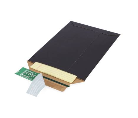 RV/1: 167 x 240 x 30 mm cardboard envelope for shipments 2