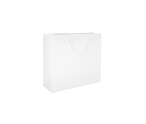 PREM-1: 200 x 100 x 180 mm paper bag with paper rope handles 2