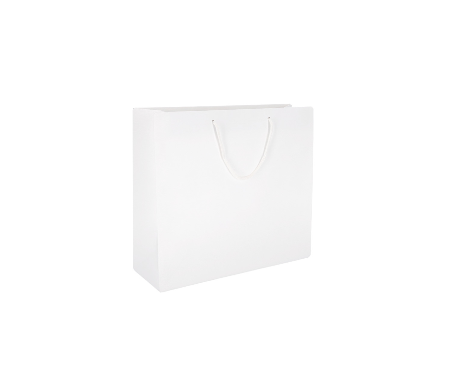 PREM-1: 200 x 100 x 180 mm paper bag with paper rope handles 3
