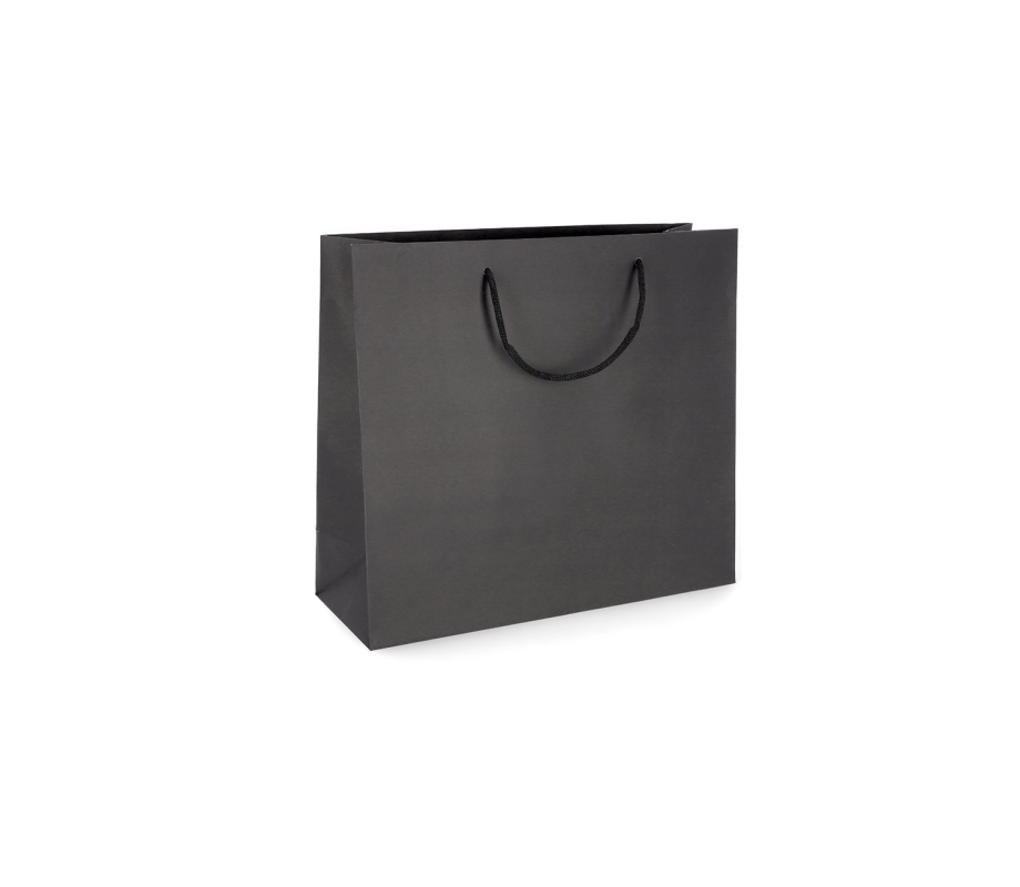PREM-1: 200 x 100 x 180 mm paper bag with paper rope handles 12
