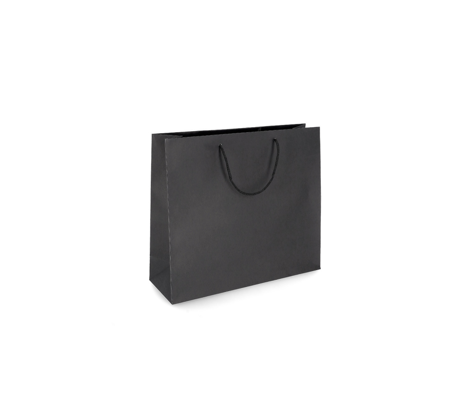 PREM-2: 280 x 120 x 240 mm paper bag with paper rope handles 12