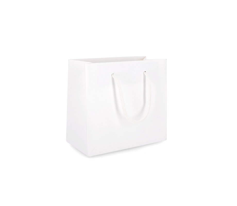 PREM-4: 450 x 150 x 400 mm paper bag with paper rope handles 3