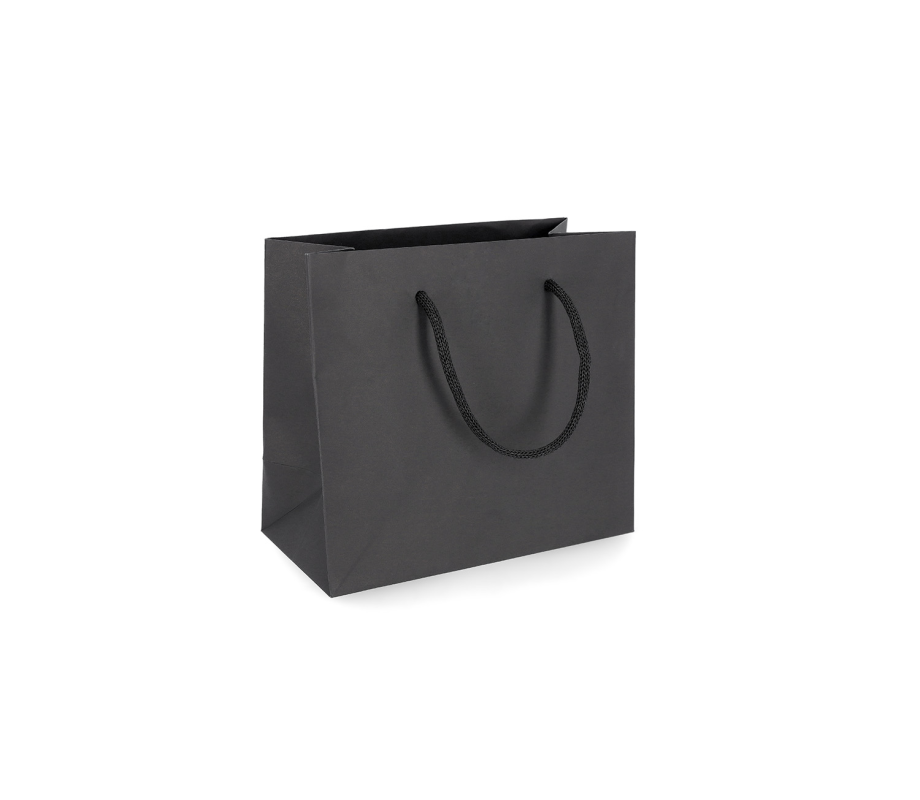 PREM-4: 450 x 150 x 400 mm paper bag with paper rope handles 12