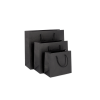 PREM-1: 200 x 100 x 180 mm paper bag with paper rope handles 20