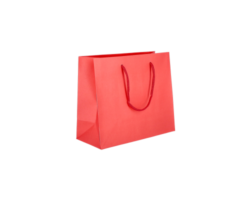 PREM-1: 200 x 100 x 180 mm paper bag with paper rope handles 4