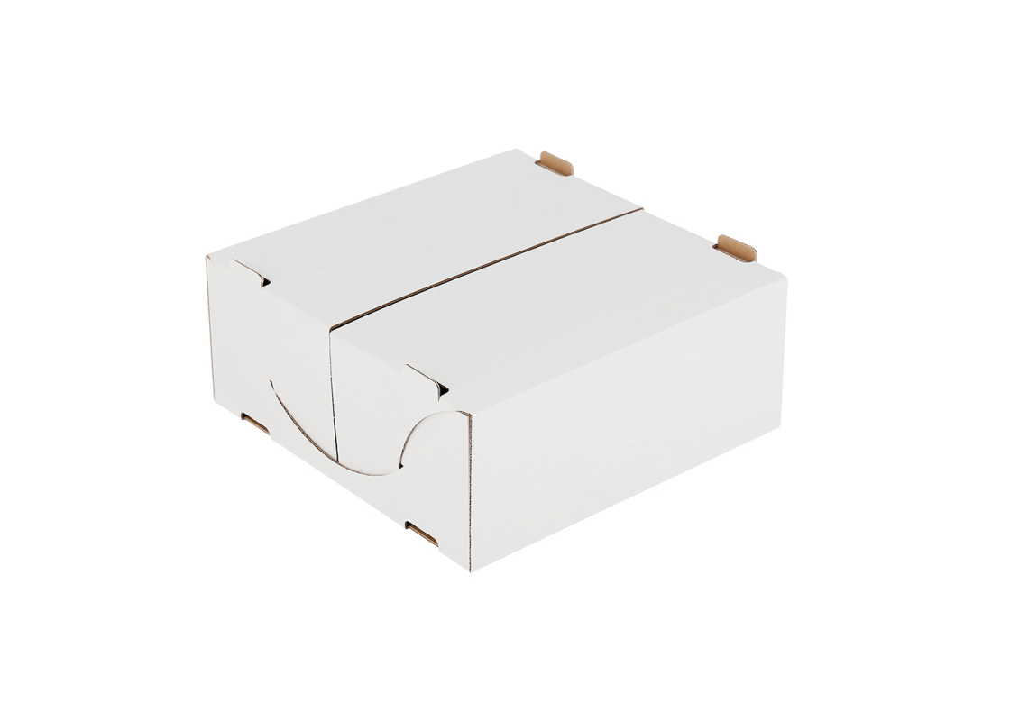 SKAN-2: 240*240*100 mm <br>Cake box with fixation, 10 pcs. 1