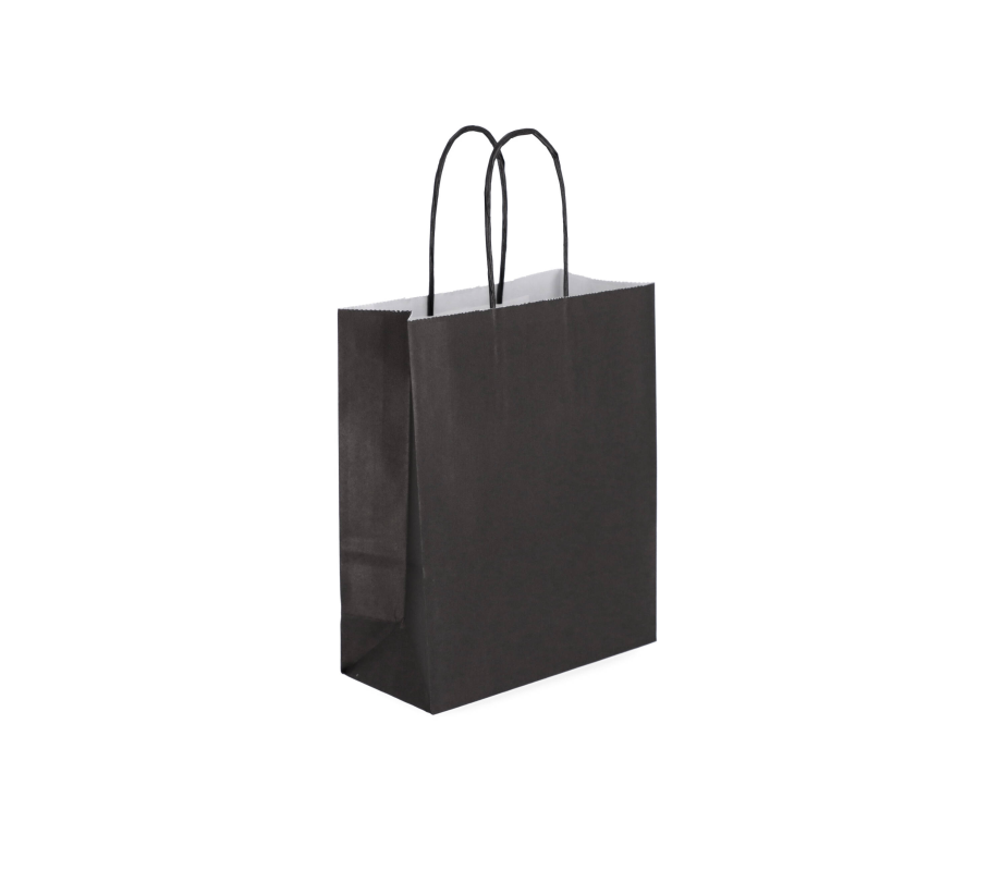 TW-2: 180 x 80 x 220 mm paper bag with twist paper handles 9