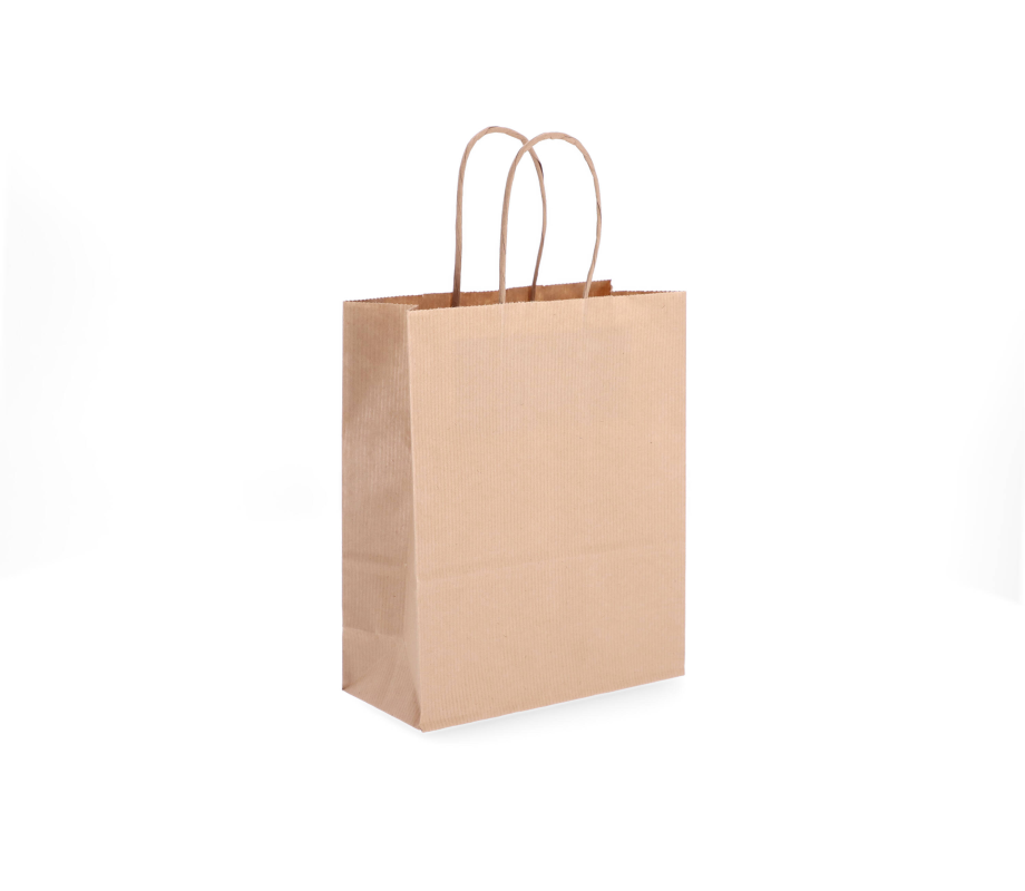 TW-2: 180 x 80 x 220 mm paper bag with twist paper handles 24