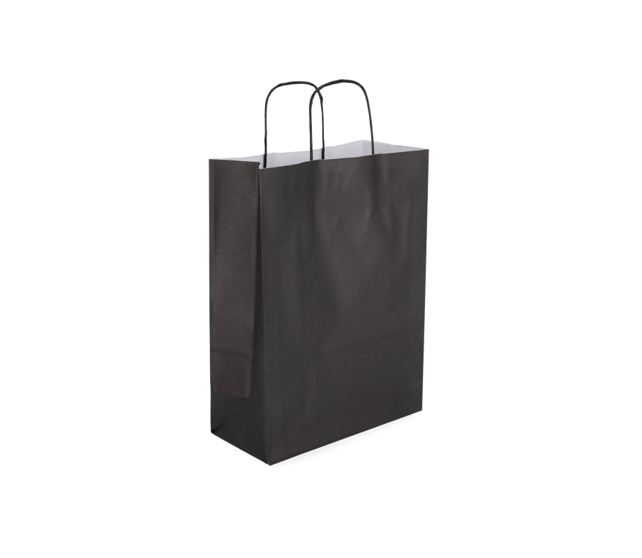TW-3: 220 x 100 x 310 mm paper bag with twist paper handles 9