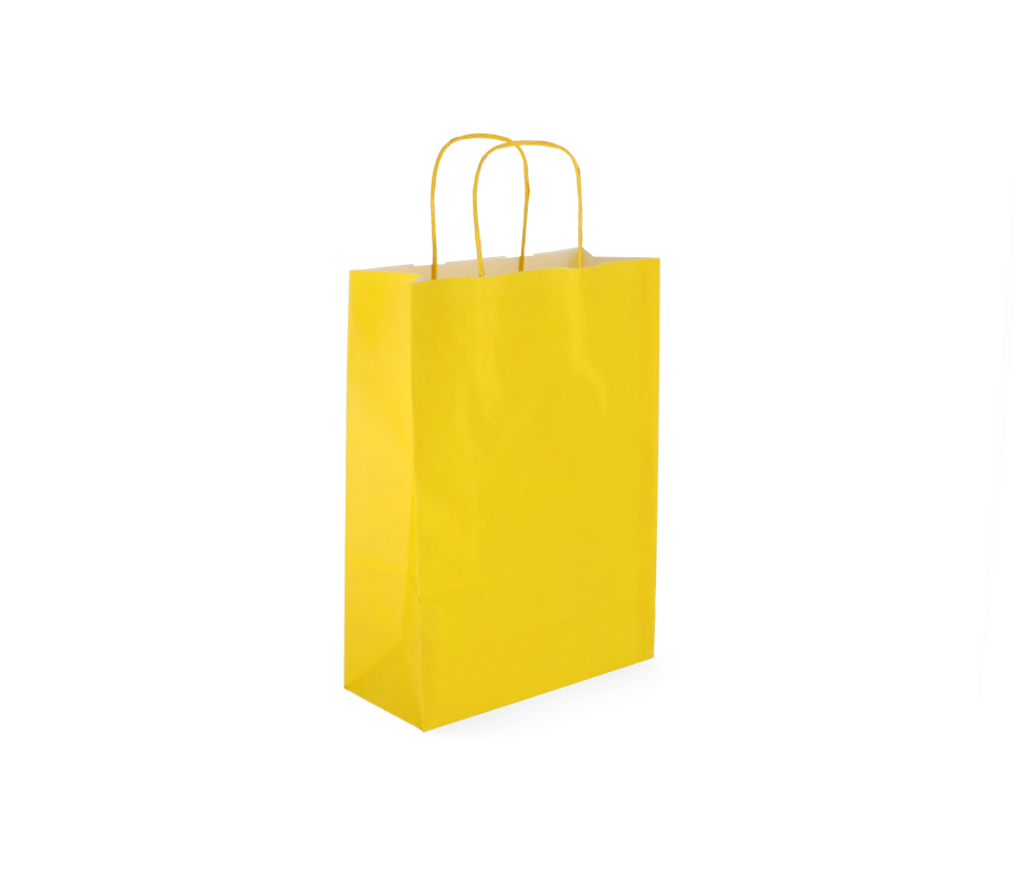 TW-3: 220 x 100 x 310 mm paper bag with twist paper handles 6