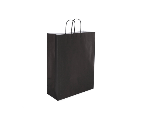TW-4: 260 x 120 x 350 mm paper bag with twist paper handles 4