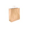 TW-6: 450 x 170 x 480 mm paper bag with twist paper handles 11