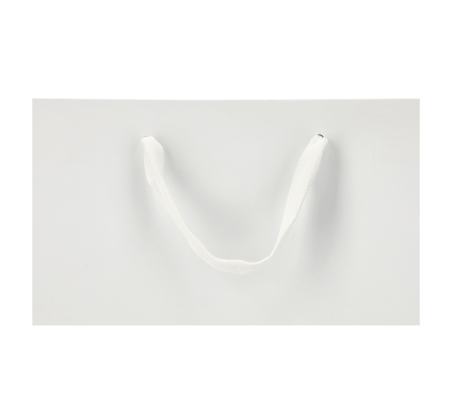 VIP-2: 400 x 150 x 290 mm paper bag with fabric handles 4