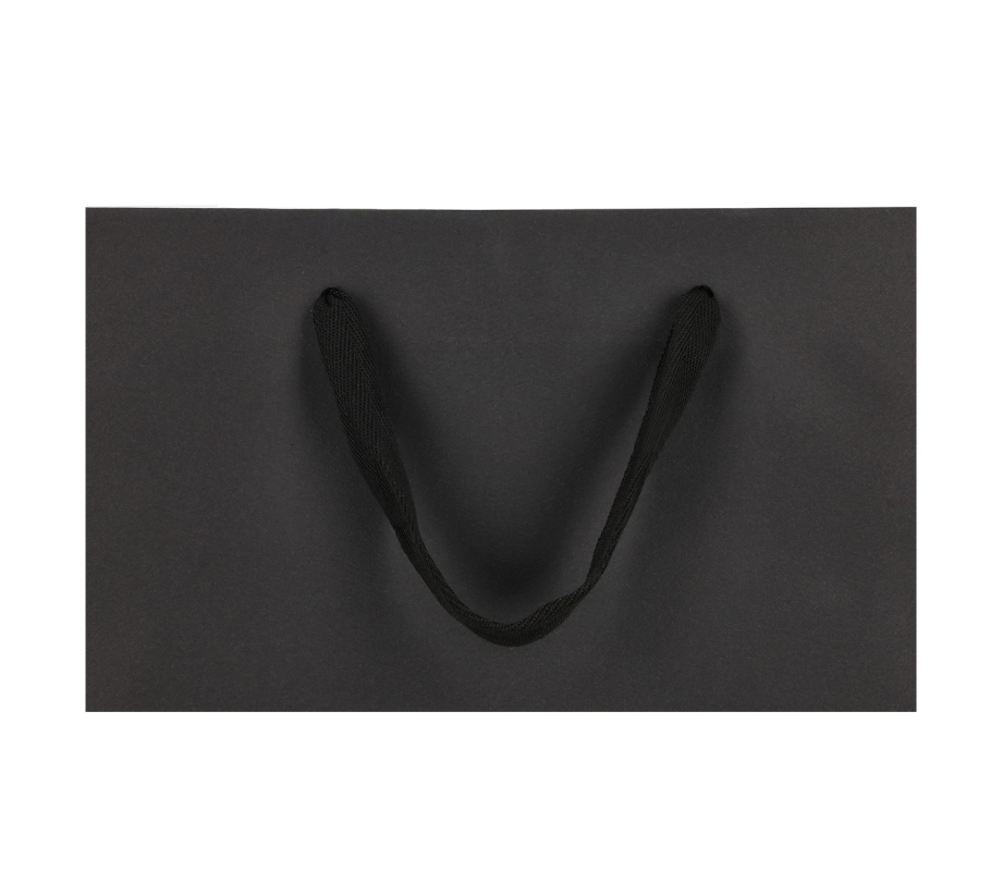 VIP-2: 400 x 150 x 290 mm paper bag with fabric handles 13
